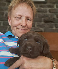 Labrador breeder holding puppy
