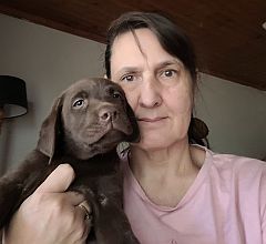 Breeder of Labradors