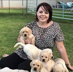 Lillian playing with Labrador puppies
