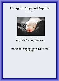 caring for dogs and puppies illustration