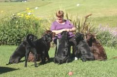 Me and my dogs having a sit down