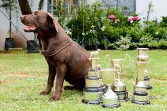 Oh No, with her trophies.