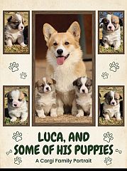 Corgi and his puppies.