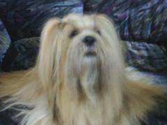 Example of long hair flowing from the top of the head