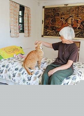 Sitting on the bed, making friends with a cat