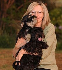 schnauzer breeder getting a kiss from a puppy