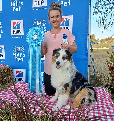 Australian shepherd champ with breeder.