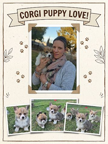 Myself with corgi puppies.