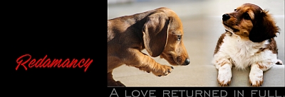 Our logo, a smooth, & a longhaired dachshund