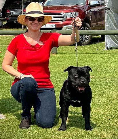 Breeder showing a black staffordshire bull terrier.