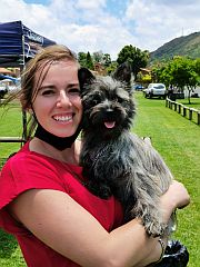 A grey cairn terrier with the breeder