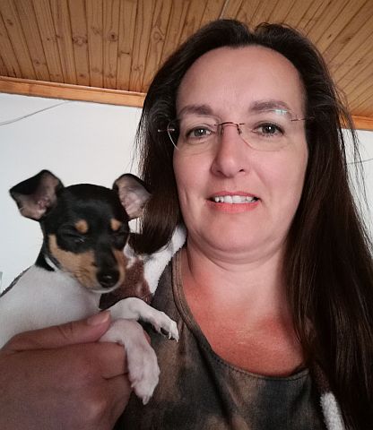 Dog breeder holding a tiny toy fox terrier.