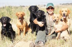 Me and 6 Labradors